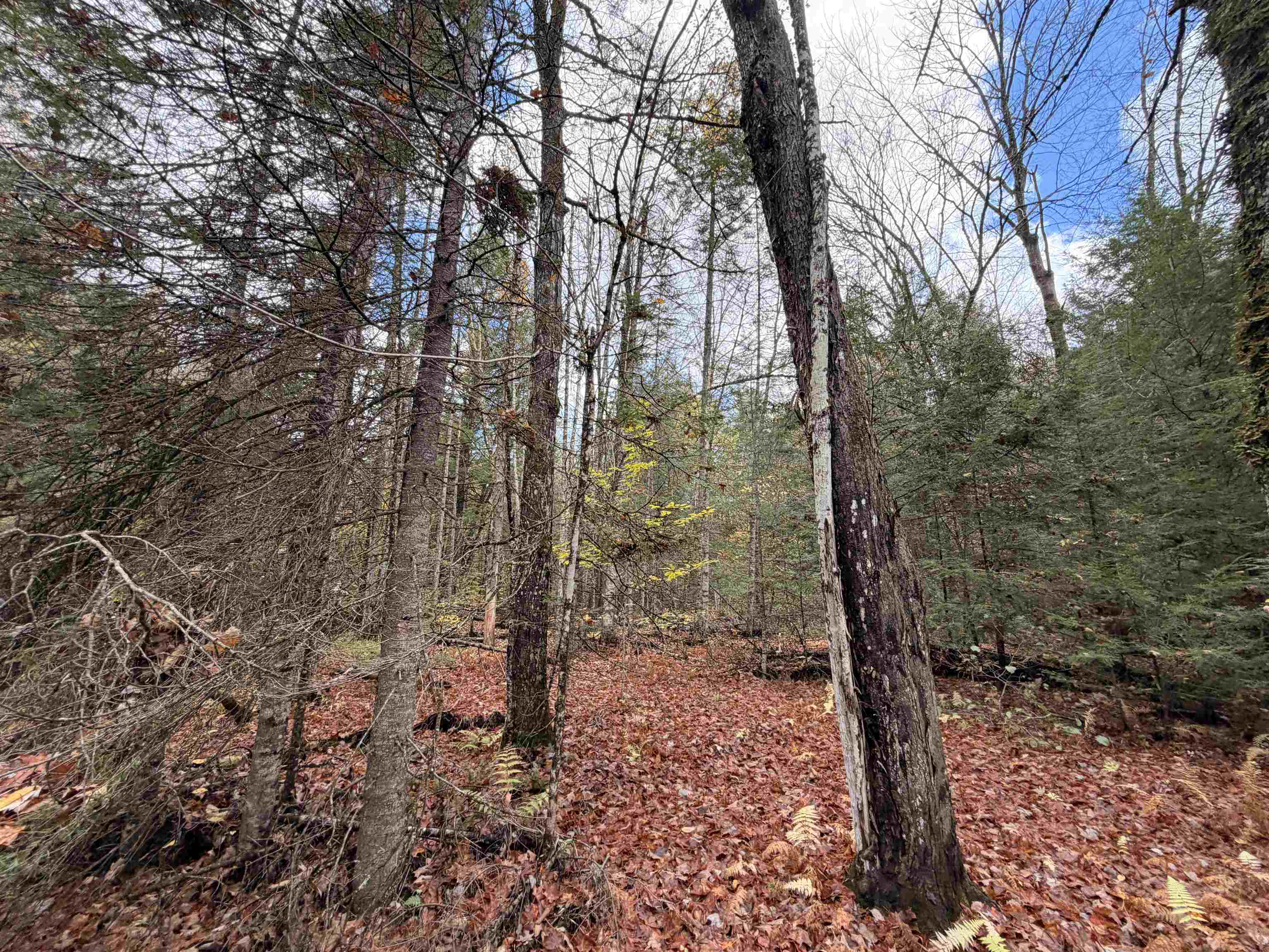 2 Ward Brook Road Middlesex, VT 05602 - Photo 7 of 10