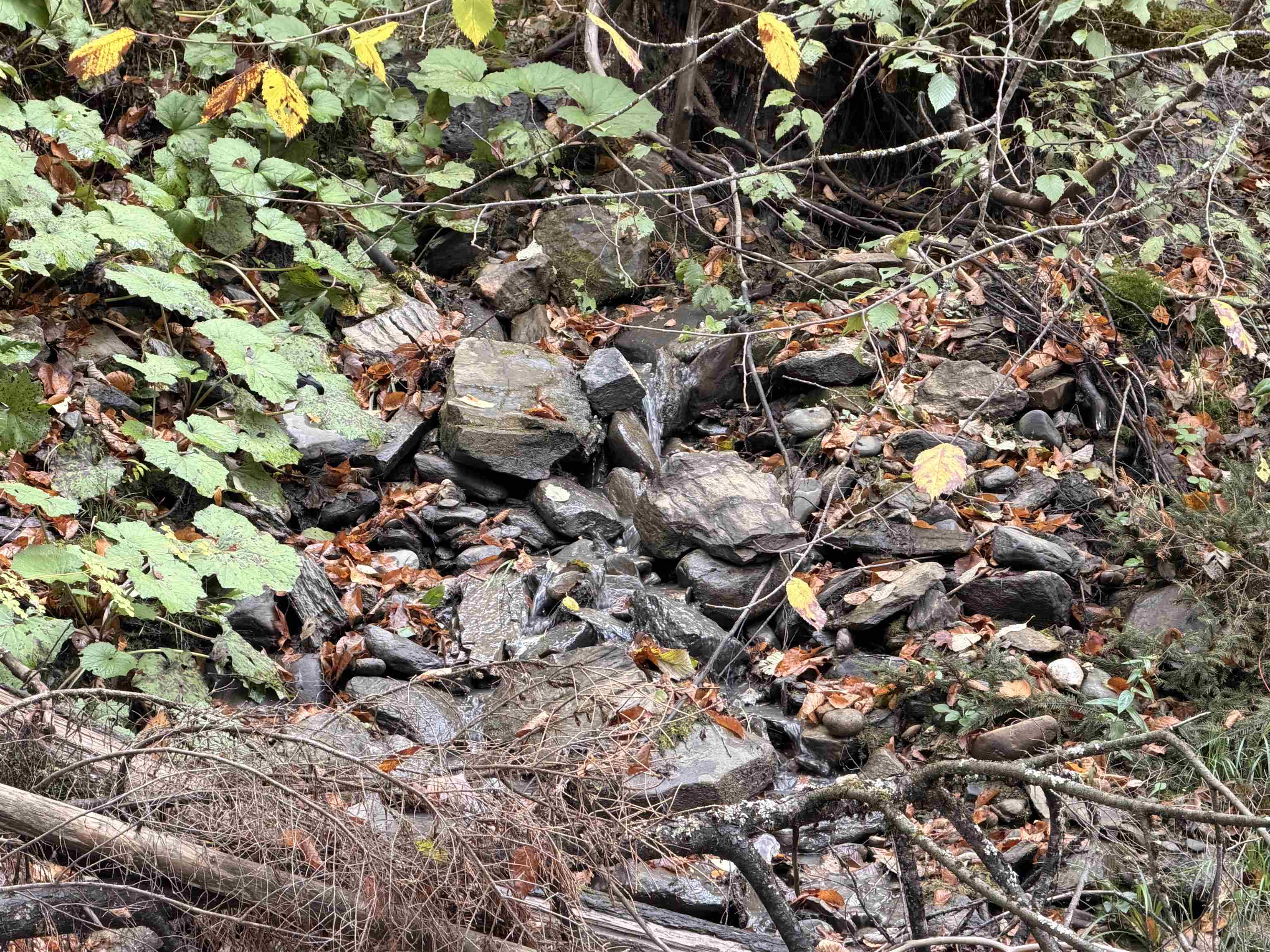 2 Ward Brook Road Middlesex, VT 05602 - Photo 8 of 10