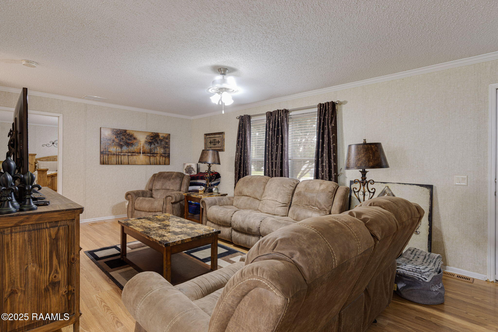 2017 Edia Street Maurice, LA 70555 - Photo 11 of 24 4-web-or-mls-2017 Edia St-4