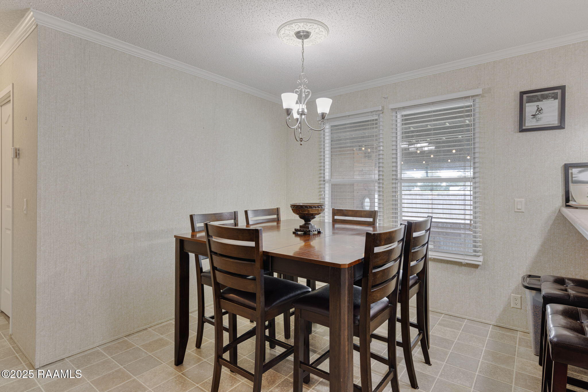 2017 Edia Street Maurice, LA 70555 - Photo 17 of 24 10-web-or-mls-2017 Edia St-10