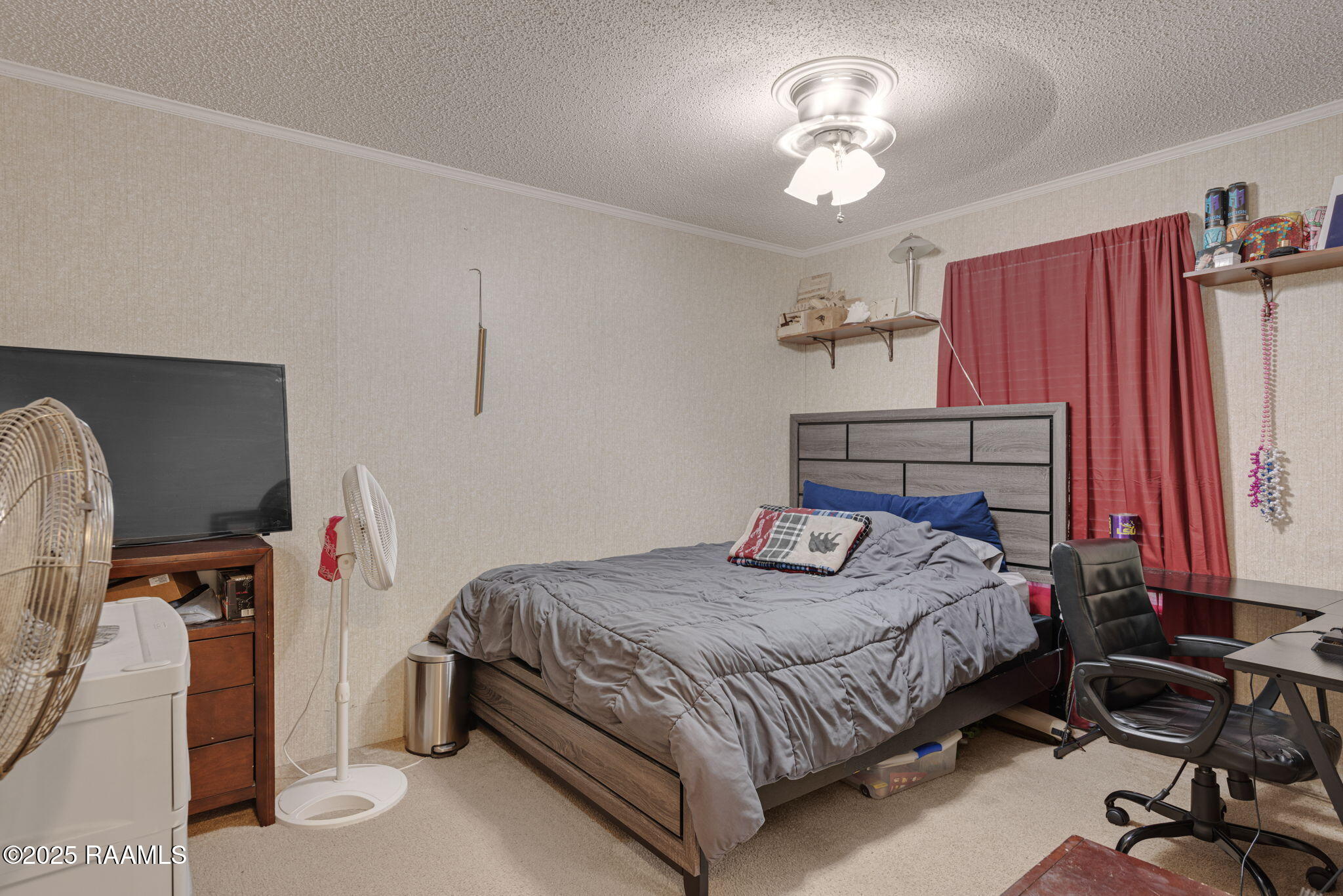 2017 Edia Street Maurice, LA 70555 - Photo 19 of 24 13-web-or-mls-2017 Edia St-13