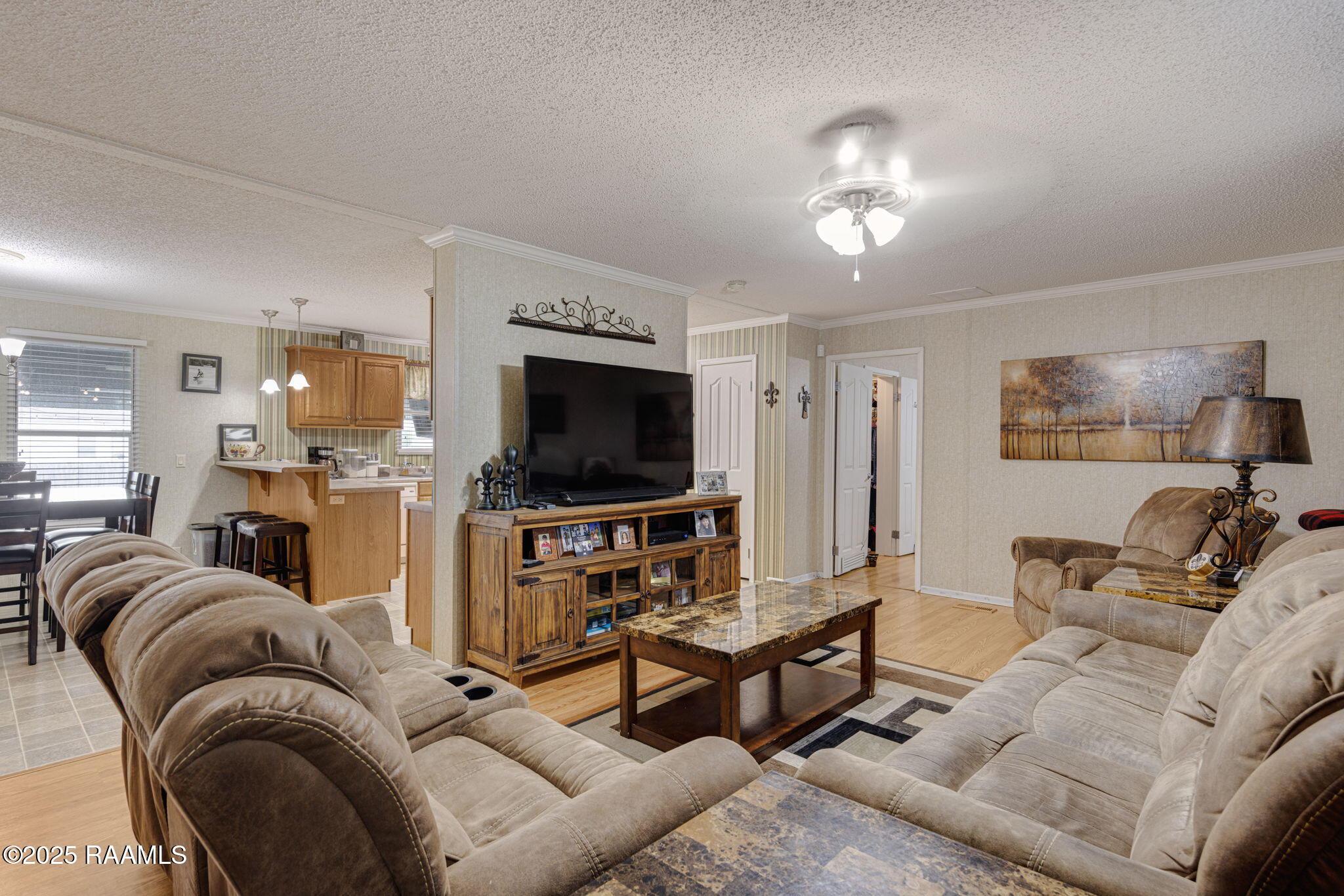 2017 Edia Street Maurice, LA 70555 - Photo 9 of 24 3-web-or-mls-2017 Edia St-3