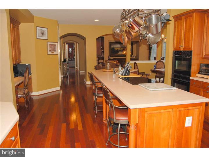 145 Rue St Jacques, Unit 6 Line Lexington, PA 18932 - Photo 11 of 25 Kitchen