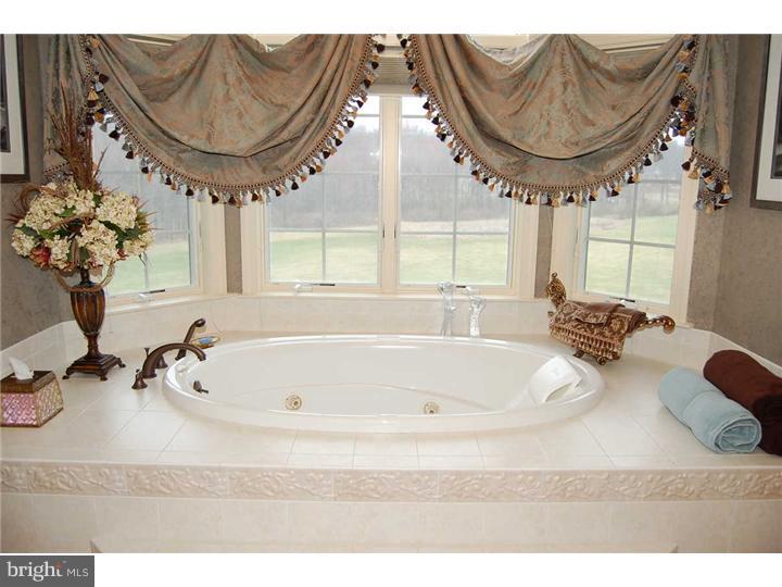 145 Rue St Jacques, Unit 6 Line Lexington, PA 18932 - Photo 17 of 25 Bathroom