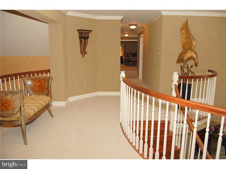 145 Rue St Jacques, Unit 6 Line Lexington, PA 18932 - Photo 20 of 25 Hallway