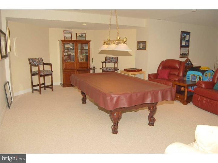 145 Rue St Jacques, Unit 6 Line Lexington, PA 18932 - Photo 22 of 25 Basement - Finished