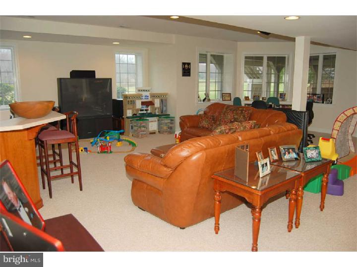 145 Rue St Jacques, Unit 6 Line Lexington, PA 18932 - Photo 23 of 25 Basement - Finished