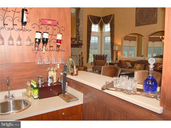 145 Rue St Jacques, Unit 6 Line Lexington, PA 18932 - Photo 7 of 25 Wet Bar
