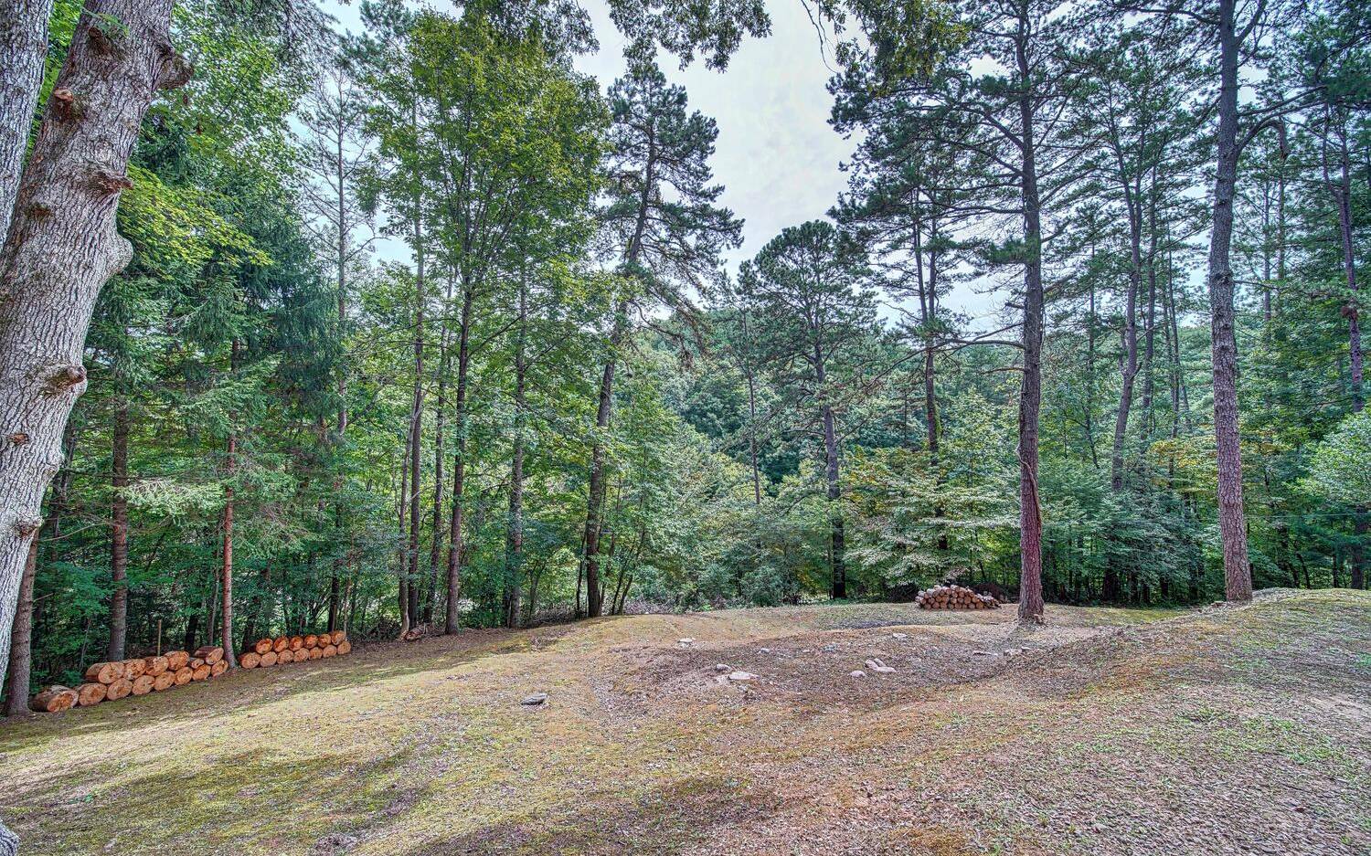 241 Fall Branch Road Murphy, NC 28906 - Photo 32 of 51 Additional View