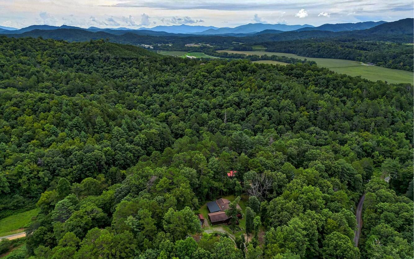 241 Fall Branch Road Murphy, NC 28906 - Photo 44 of 51 Additional View