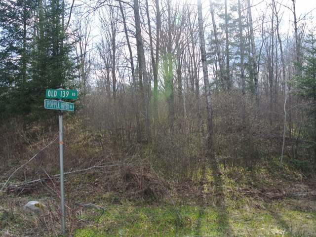 11645 Old 139 Road Argonne, WI 54511 - Photo 7 of 7 Gallery Image 7