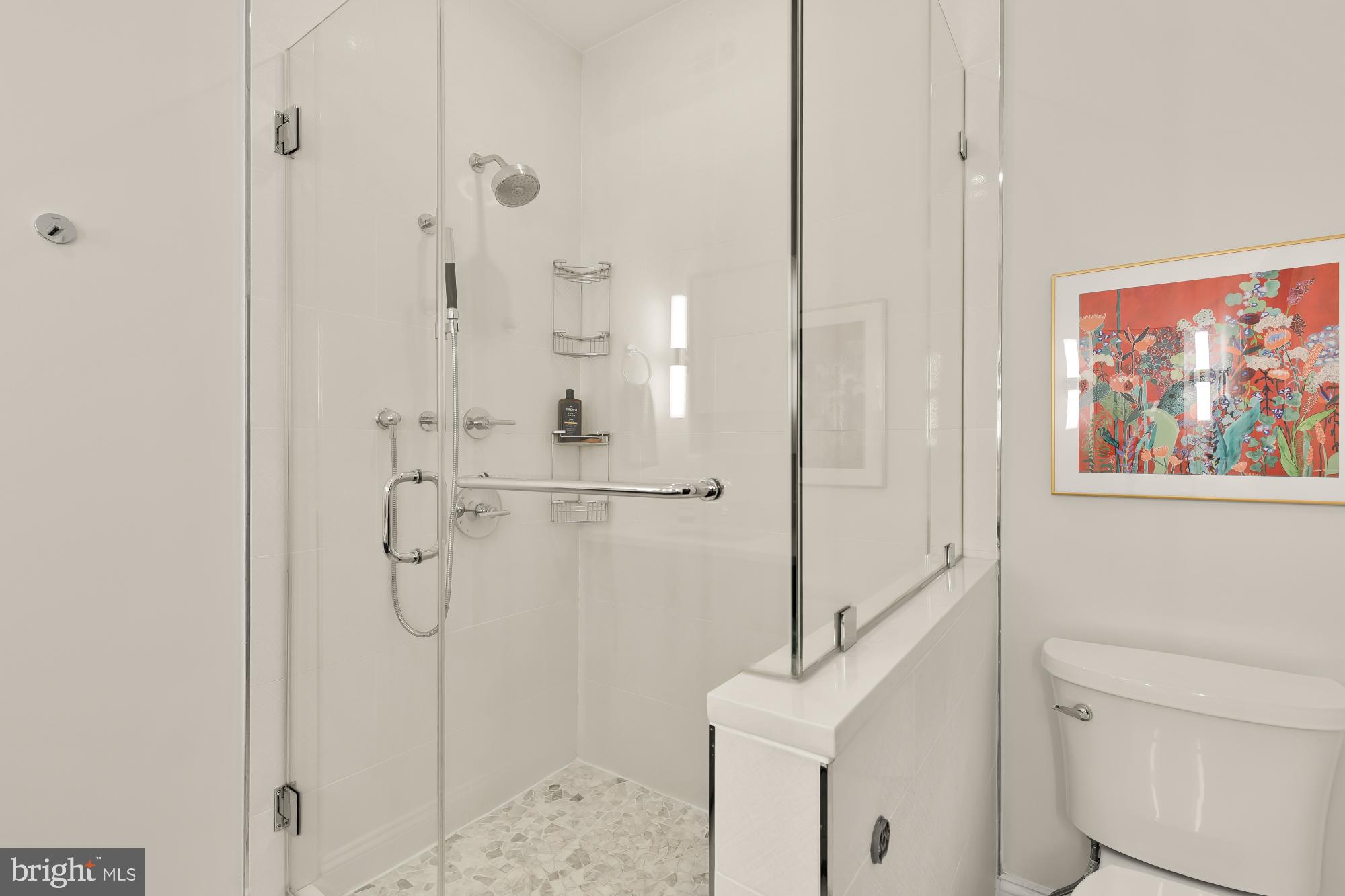 632 Acker Place Northeast Washington, DC 20002 - Photo 41 of 57 a bathroom with a shower and a toilet