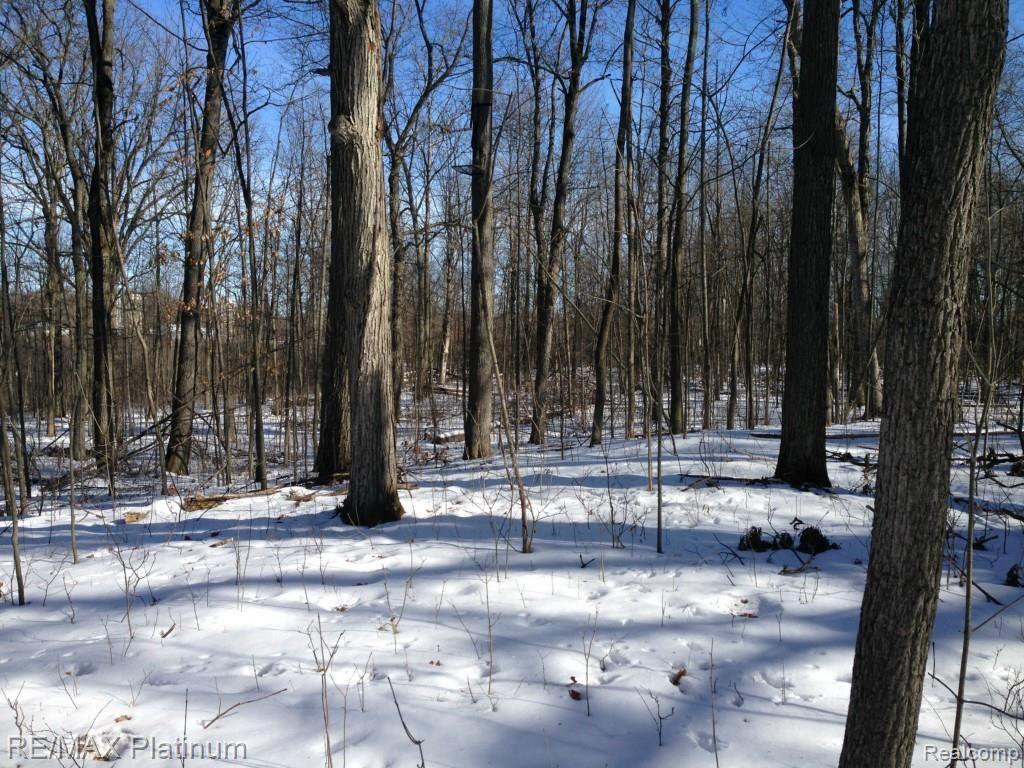 Par A Wiggins Road Howell, MI 48855 - Photo 9 of 11 IMG_1691.jpg