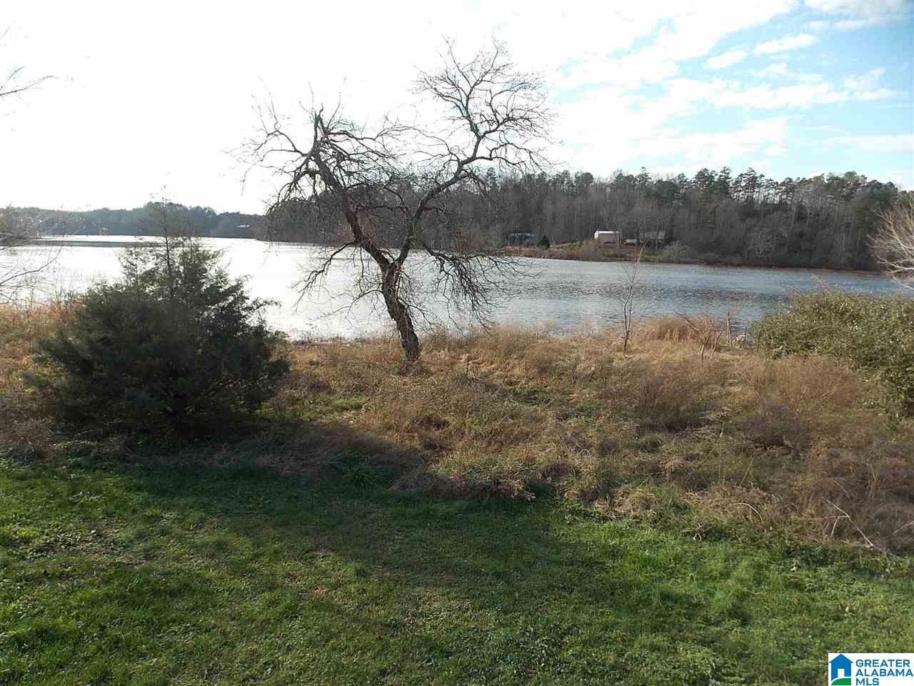 1466 Reid Road Oneonta, AL 35121 - Photo 2 of 10