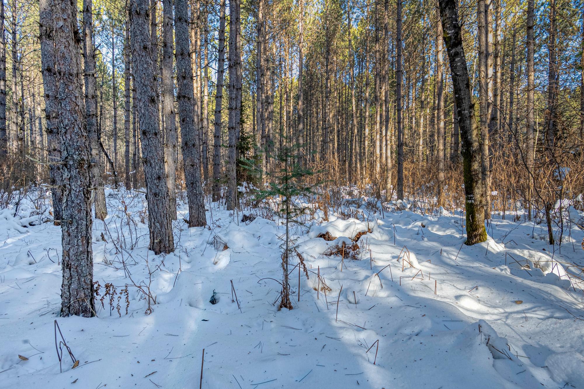 Off Deerskin Road, Unit LOT 5 Eagle River, WI 54521 - Photo 18 of 26 Gallery Image 18