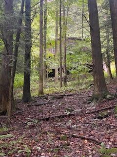 Polemic Run Road Sutton, WV 26601 - Photo 7 of 29 Gallery Image 7