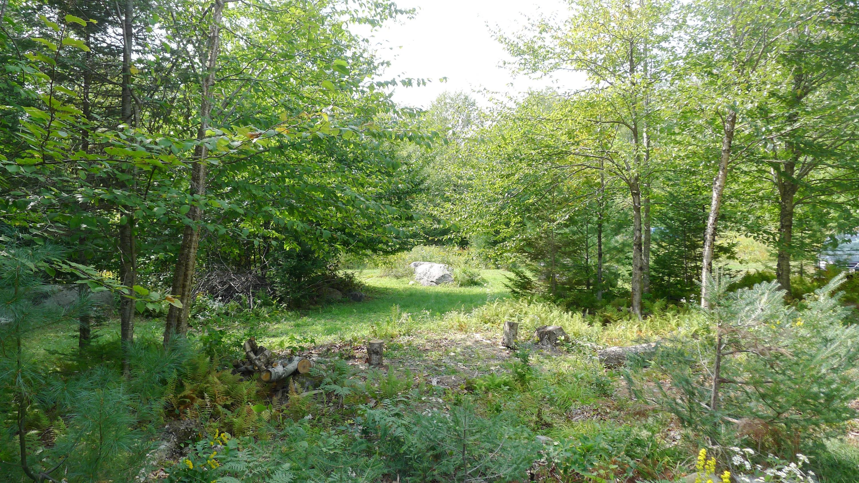 Lot 11 Basin Road Carthage, ME 04224 - Photo 38 of 43 If you value silence.....