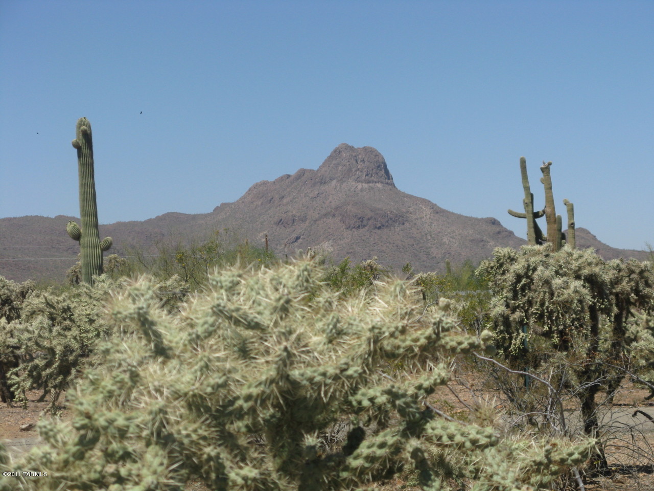 6481 West Ina Road, Unit 4 Tucson, AZ 85743 - Photo 1 of 14