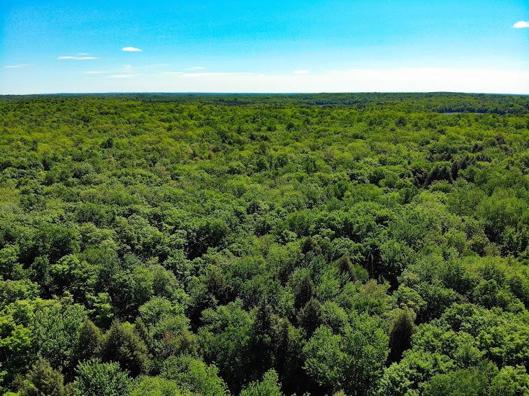 7483 McDowell Road Presque Isle, WI 54557 - Photo 13 of 15 Gallery Image 13