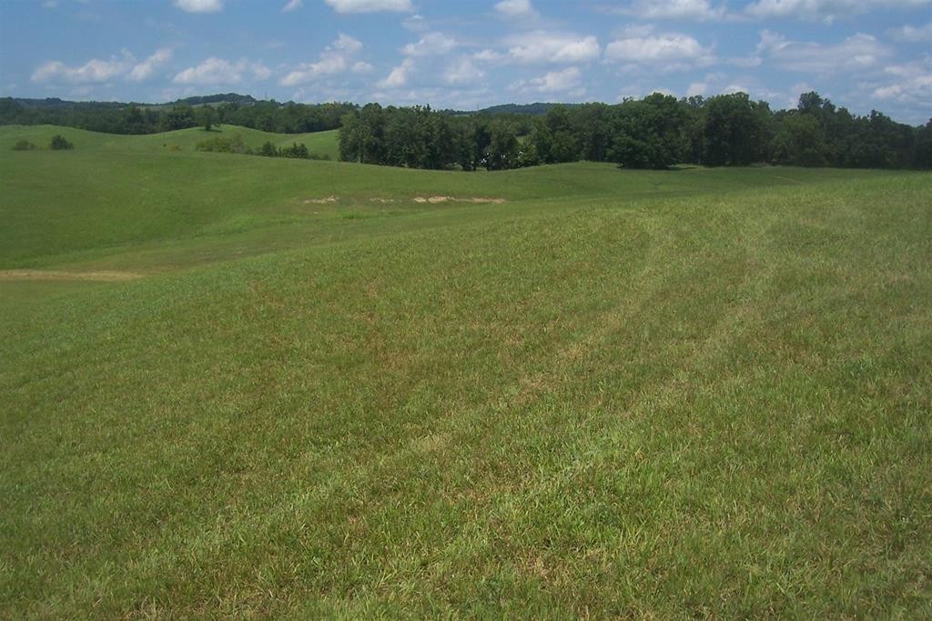 7 Union Grove Road Russellville, TN 37860 - Photo 1 of 7
