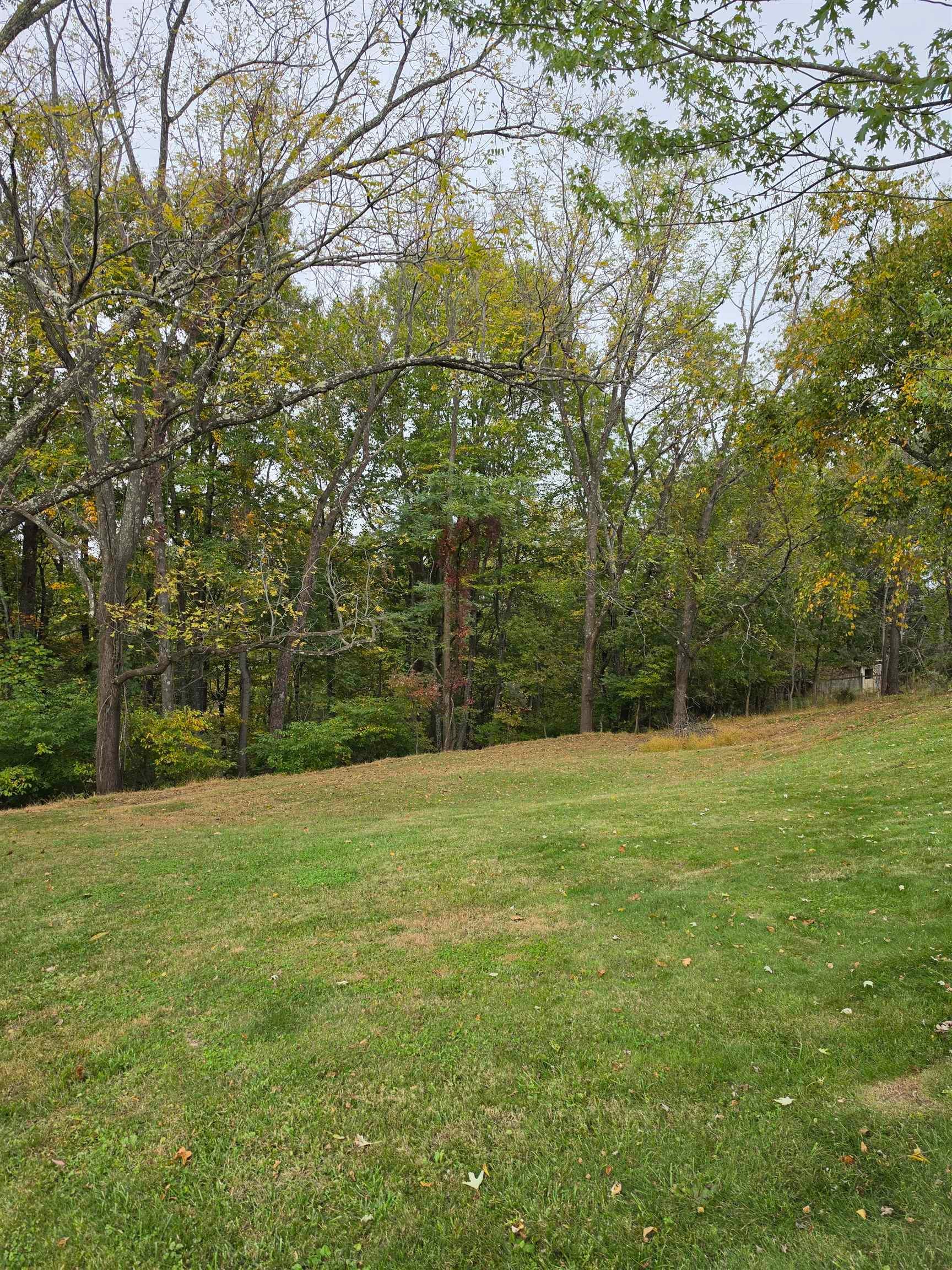 845 Northwest Horse Ridge Road Northwest Willis, VA 24380 - Photo 21 of 24 Gallery Image 21