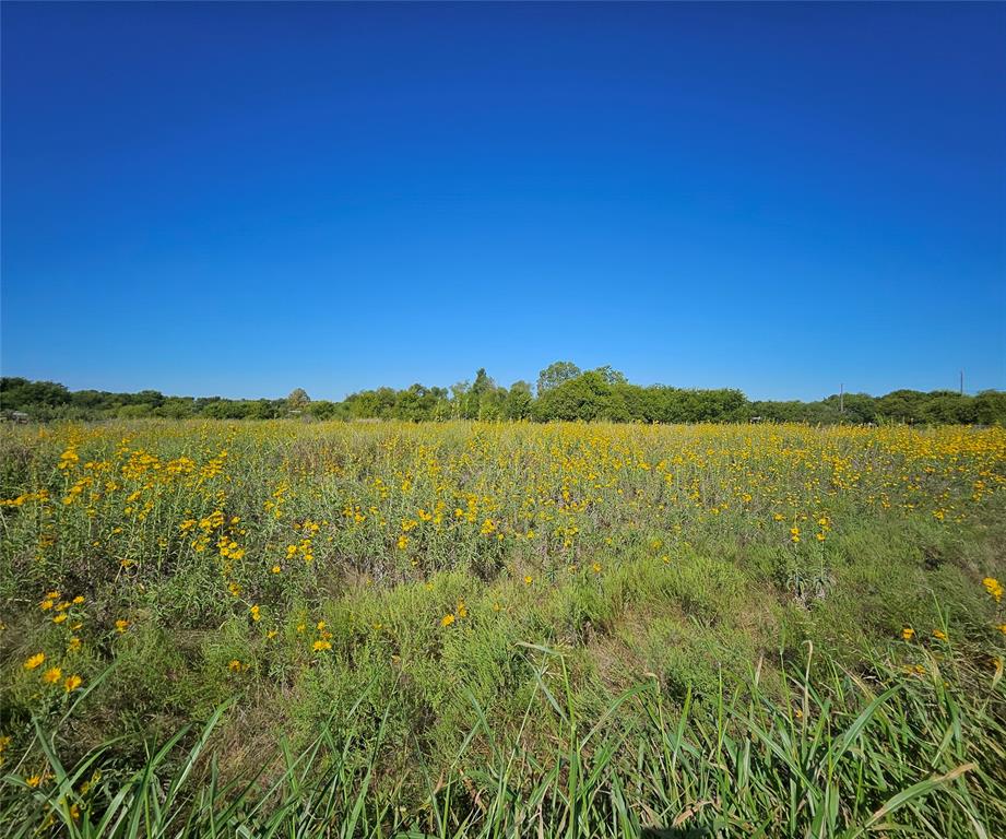 Lot 29 Phillips Court Decatur, TX 76234 - Photo 1 of 1 View of nature with rural landscape