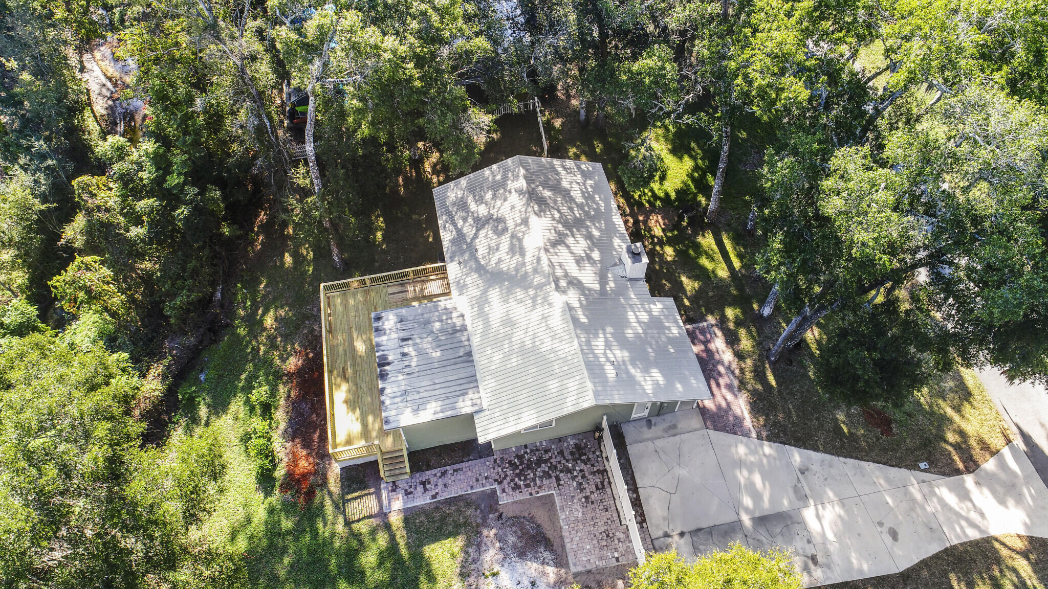 271 Wisteria Road St. Augustine, FL 32086 - Photo 27 of 30 a view of a yard in the forest
