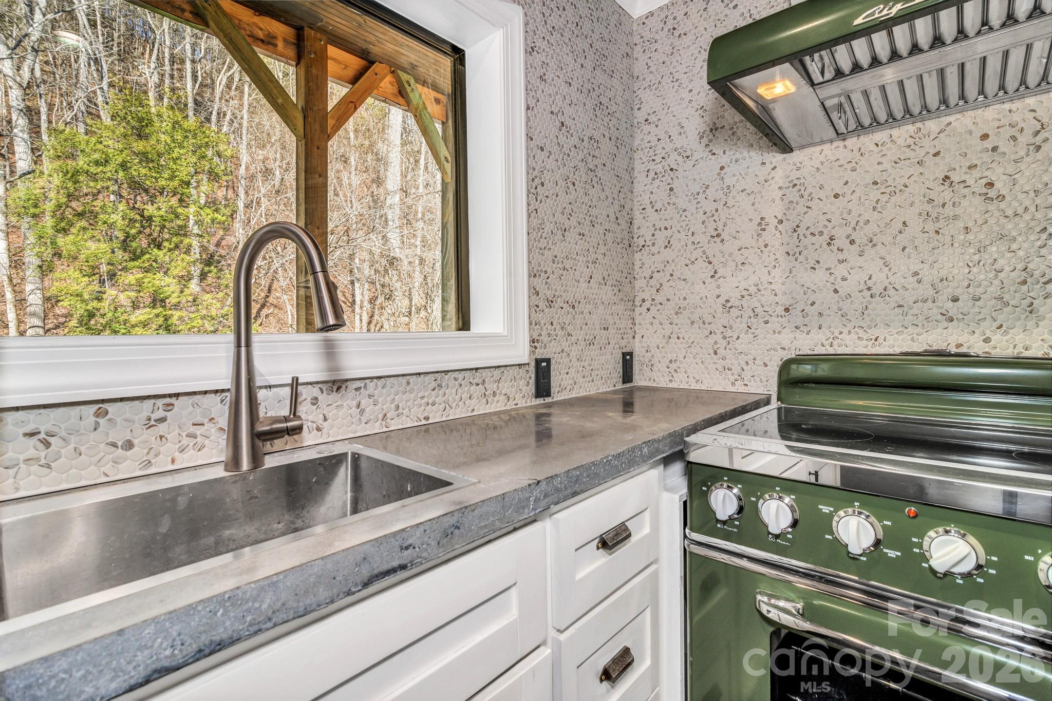 1115 Paint Rock Road Hot Springs, NC 28743 - Photo 8 of 25 Gallery Image 8