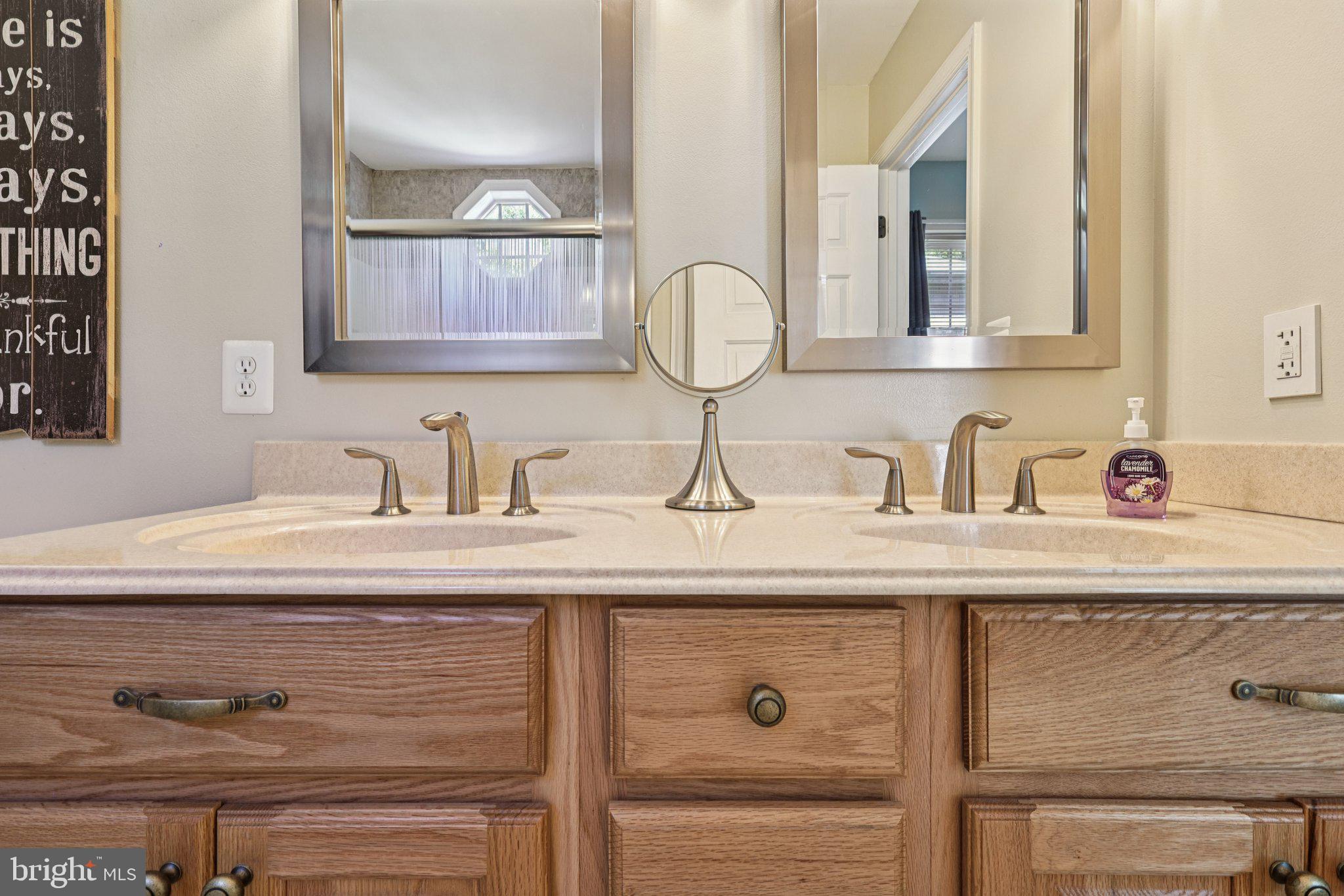238 Washington Street Locust Grove, VA 22508 - Photo 23 of 42 Primary Bath With Double Sink