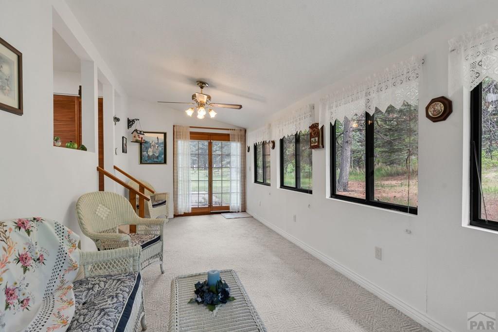8486 Highway 165 Rye, CO 81069 - Photo 20 of 60