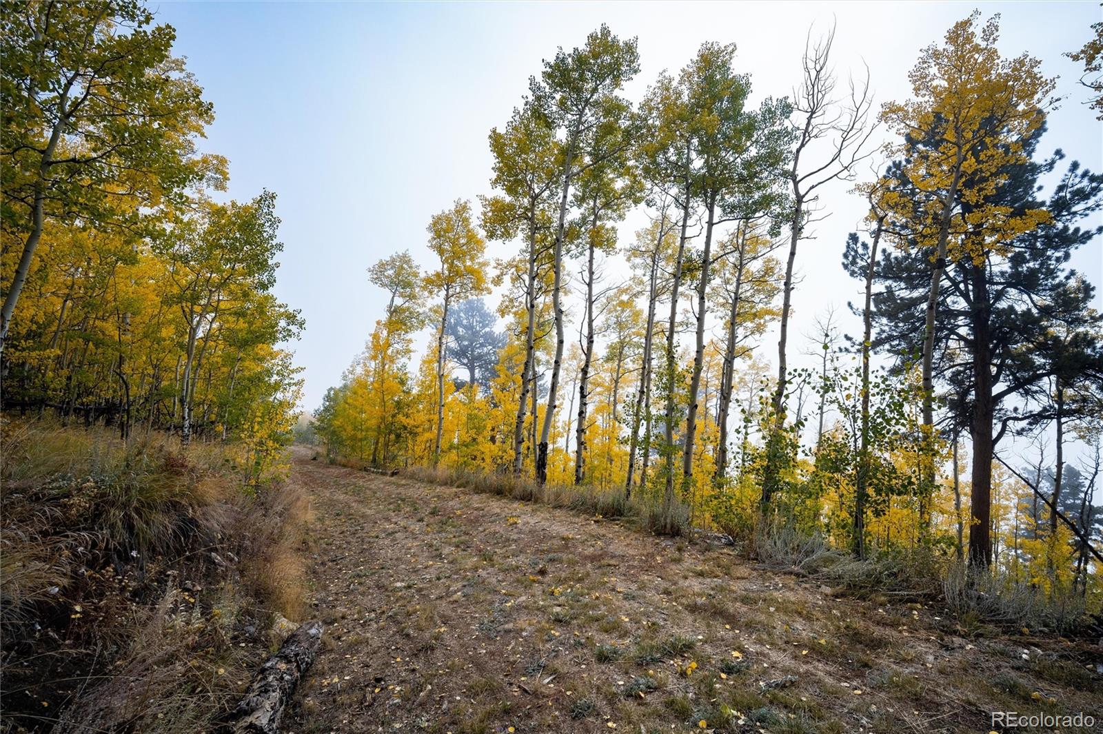 0 Robinson Hill Road Black Hawk, CO 80422 - Photo 19 of 38