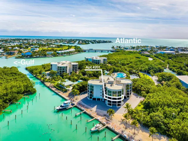a view of a lake from a window