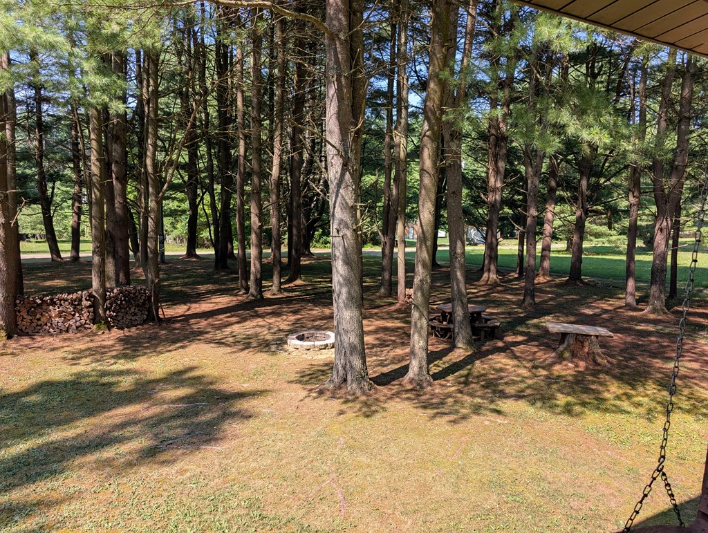 5007 Balltown Road Tionesta, PA 16353 - Photo 8 of 22