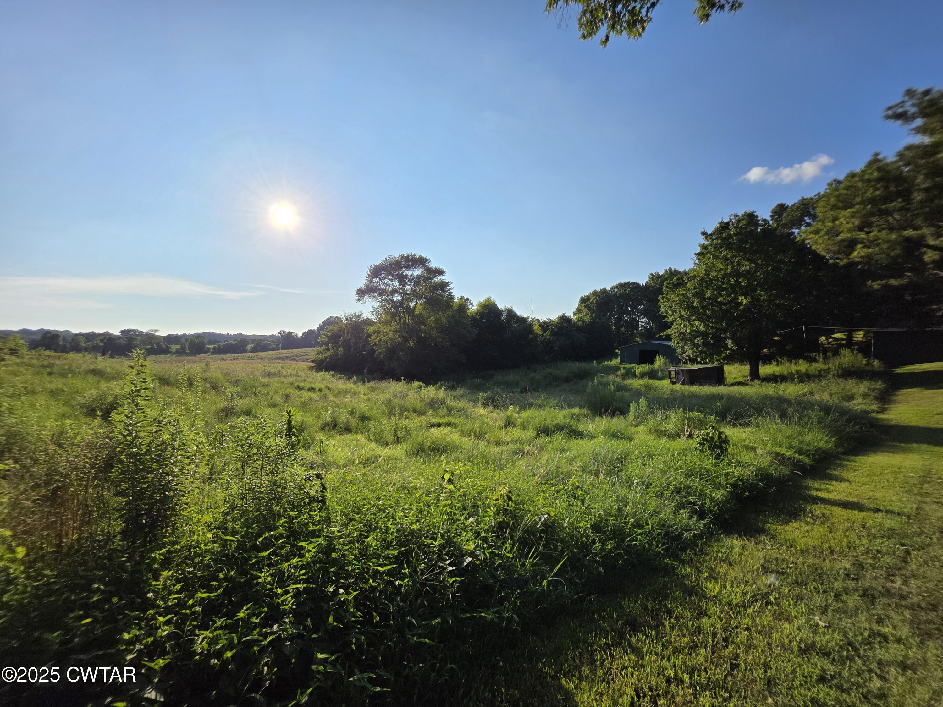 6719 Chestnut Bluff Road Friendship, TN 38034 - Photo 6 of 37 20250724_183715