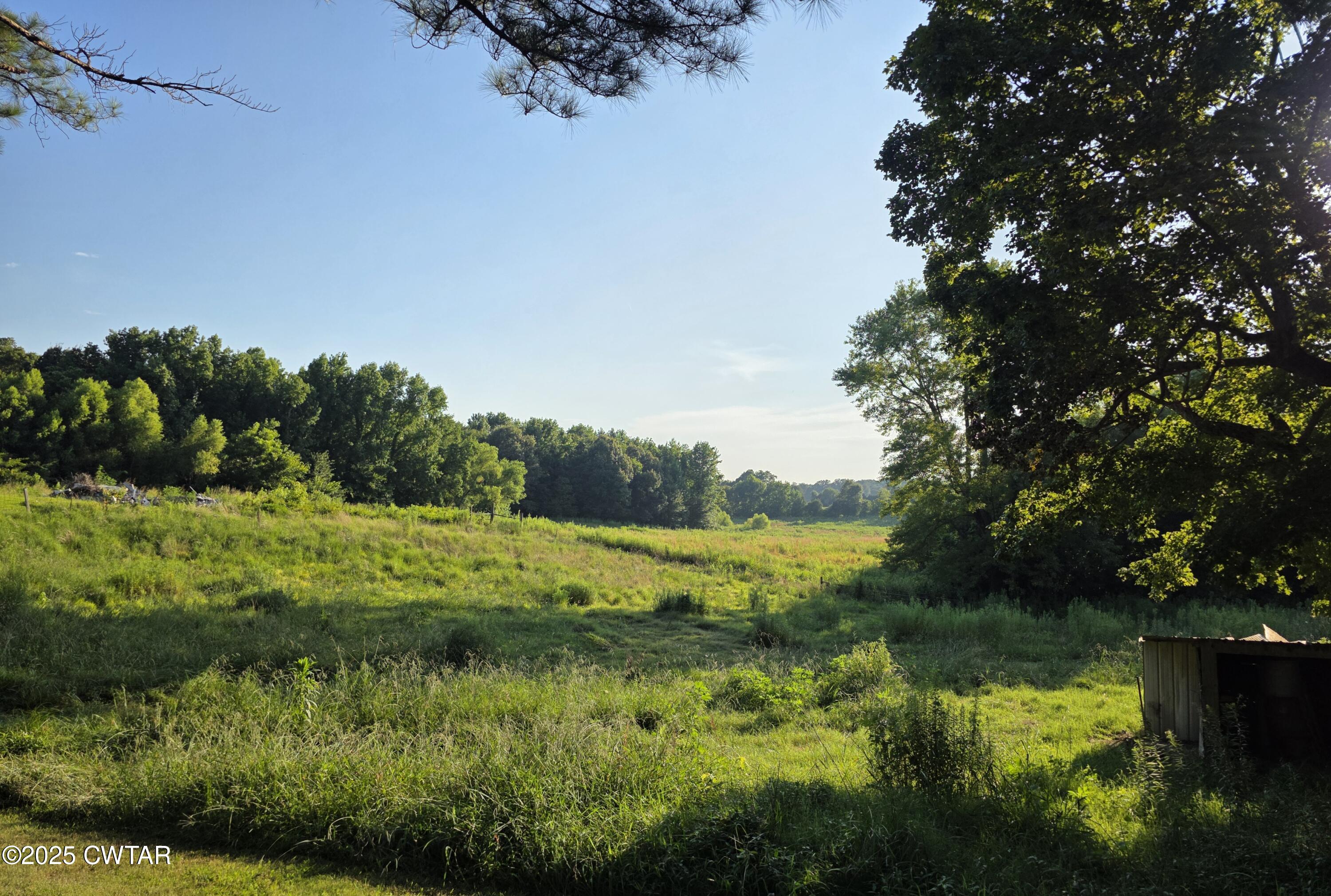6719 Chestnut Bluff Road Friendship, TN 38034 - Photo 7 of 37 20250724_183539