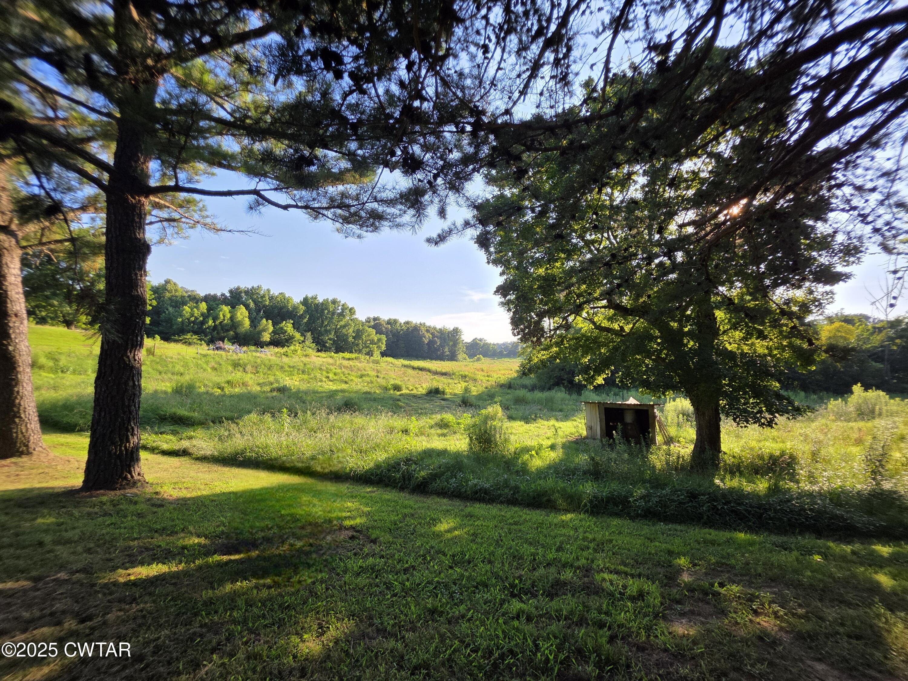 6719 Chestnut Bluff Road Friendship, TN 38034 - Photo 8 of 37 20250724_183518