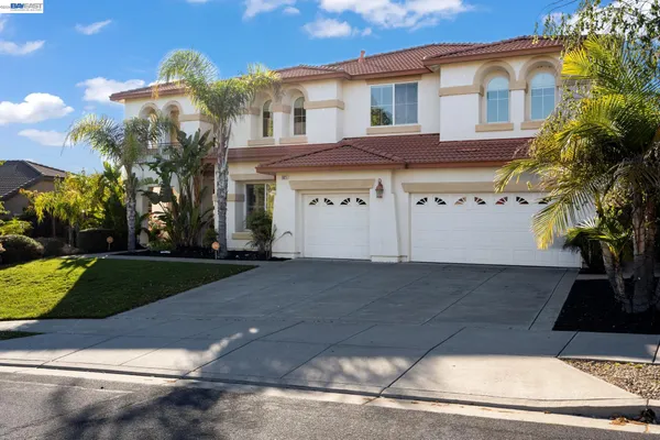 a view of a white house with a large tree