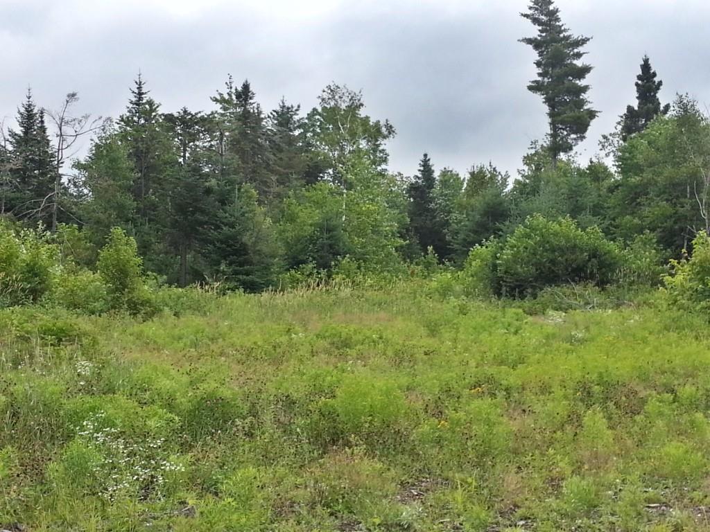 176 Back Street Newry, ME 04261 - Photo 5 of 14 Photo