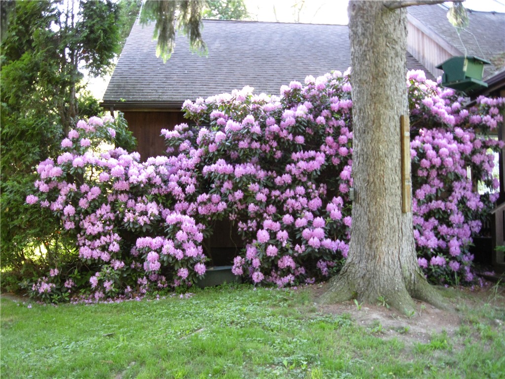 1292 Arrowhead Beach Road Torrey, NY 14441 - Photo 29 of 43