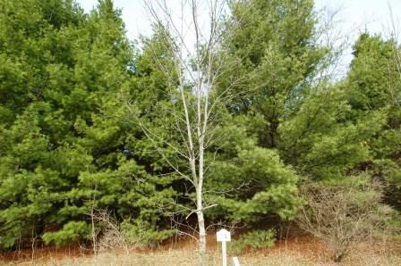 Lot 3 Heritage Meadows Road Egg Harbor, WI 54209 - Photo 1 of 1