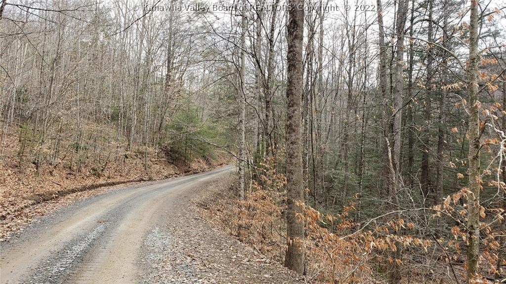 0 Surveyor Creek Road Lester, WV 25865 - Photo 17 of 22 Gallery Image 17