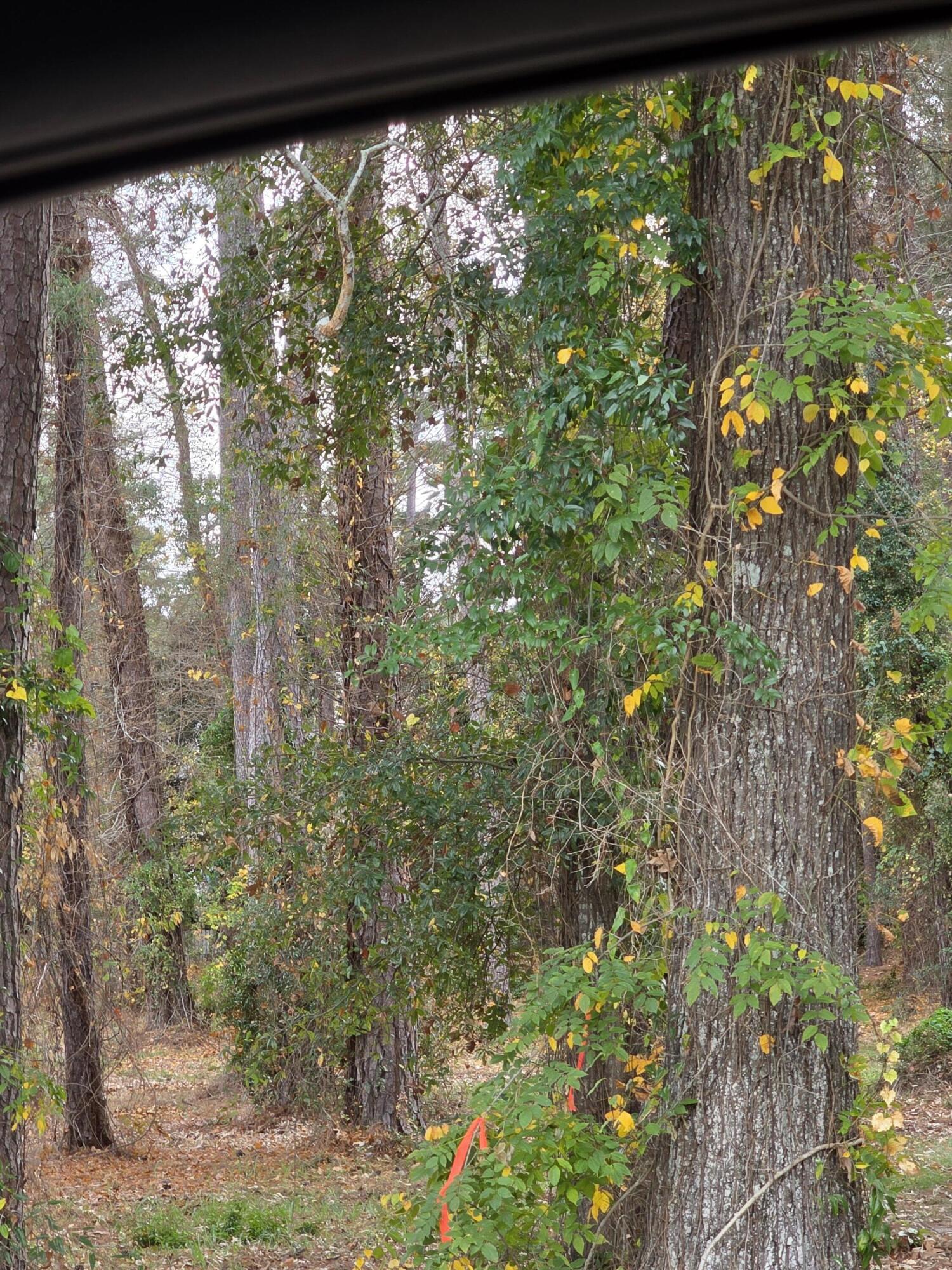 128 Cooper Circle, Unit 3 Santee, SC 29142 - Photo 9 of 24