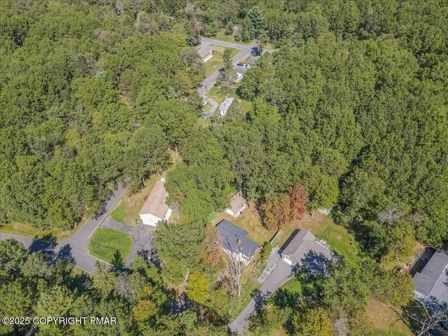 a picture of a black and white photo