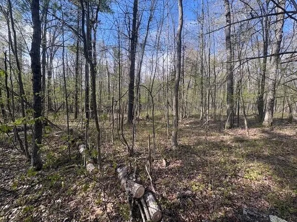 $54,900 | 13780 North 20th Avenue, Marion, MI 49665