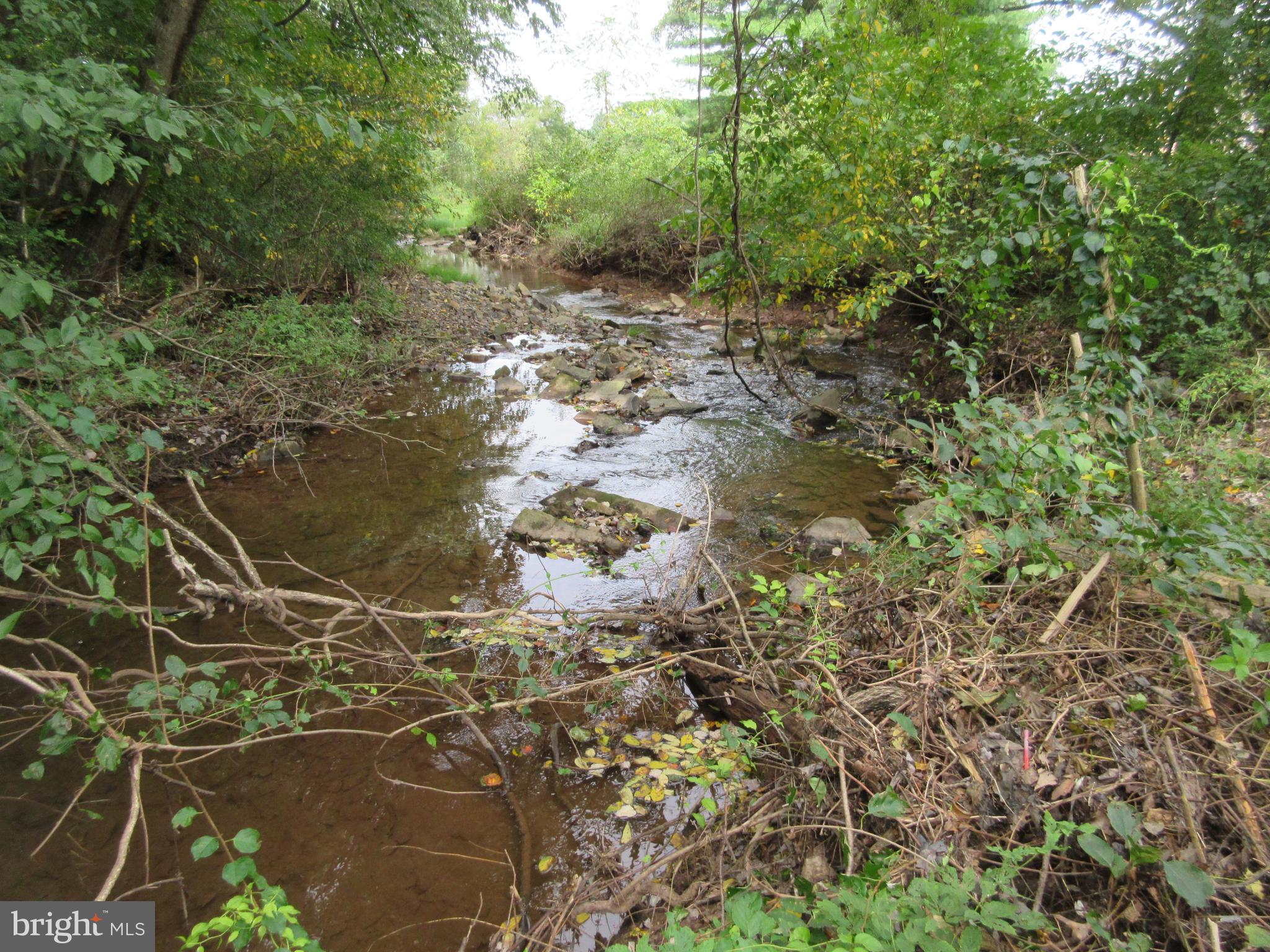 7 Mexico Road Pine Grove, PA 17963 - Photo 14 of 16 Stream