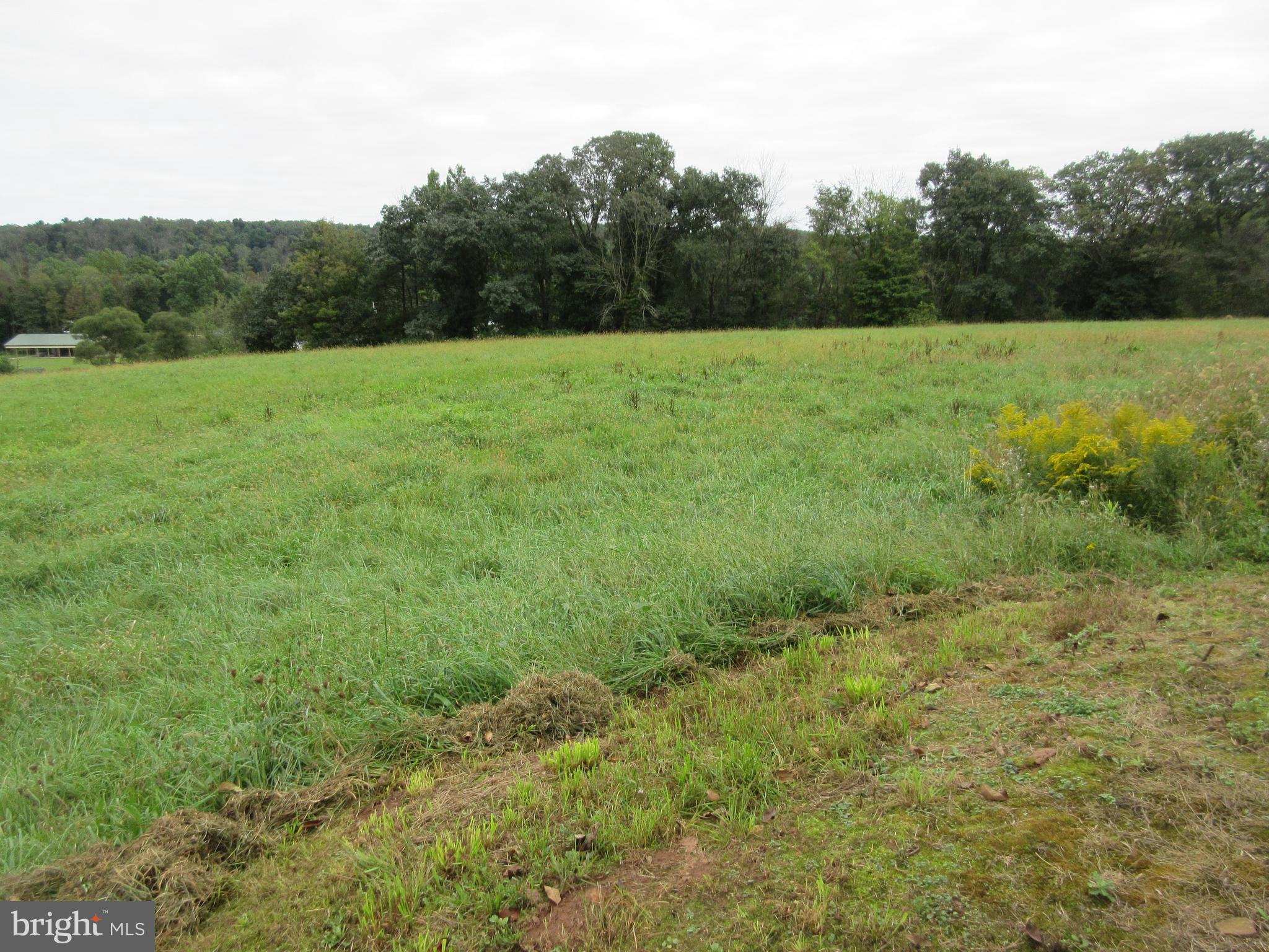 7 Mexico Road Pine Grove, PA 17963 - Photo 15 of 16 Hay Field