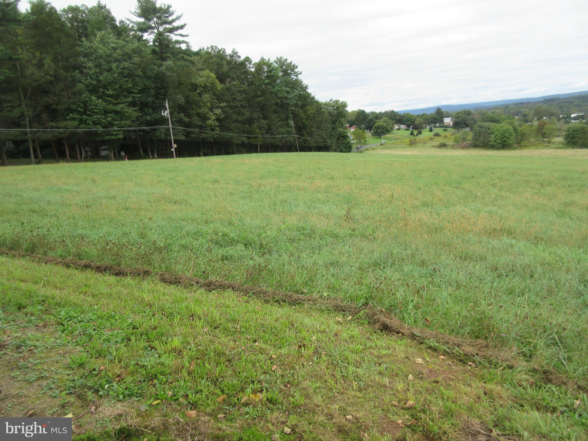 7 Mexico Road Pine Grove, PA 17963 - Photo 16 of 16 Hay Field