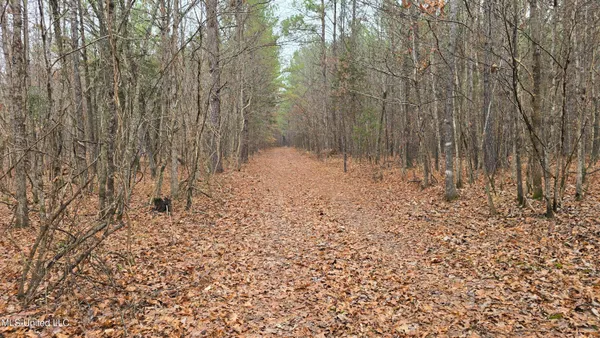$206,000 | Brown Road, Starkville, MS 39759