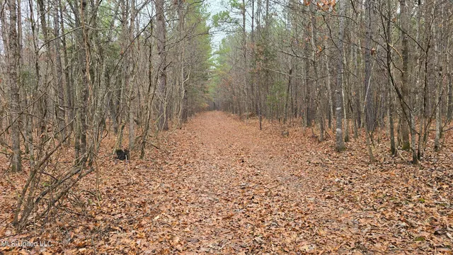 $206,000 | Brown Road, Starkville, MS 39759