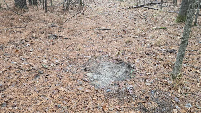 $206,000 | Brown Road, Starkville, MS 39759